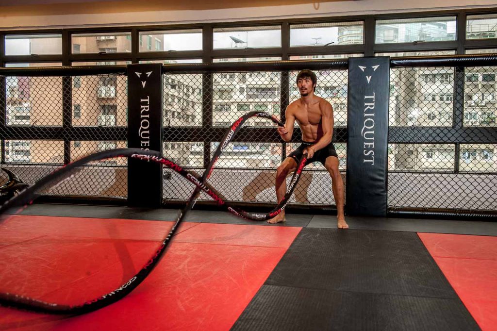 Picture of Battling Ropes
